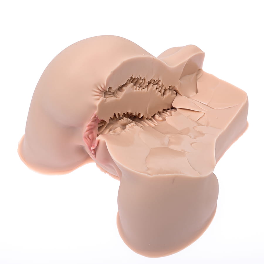 Мастурбатор Naked Factory Kate, полуторс