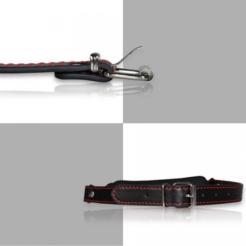 Кляп-трензель Lovetoy Bondage Fetish Dog Bone Gag