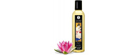 /catalog/intimnaya-gigiena-i-kosmetika/massazhnye-masla-i-svechi/massazhnoe-maslo-shunga-sweet-lotus-250-ml/