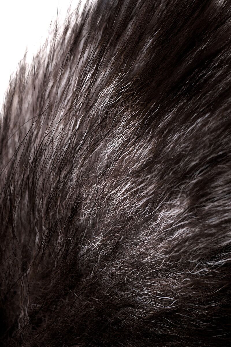 Анальная втулка с хвостом чернобурой лисы POPO Pleasure by TOYFA, M, черная, 45 см