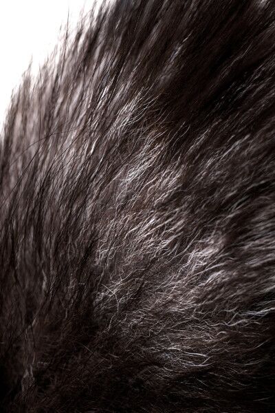 Анальная втулка с хвостом чернобурой лисы POPO TOYFA, S, черная, 45 см
