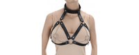 /catalog/fetish-i-bdsm/bdsm-odezhda-i-postelnoe-bele/bdsm-portupeya-kissexpo-na-grud-s-chokerom/